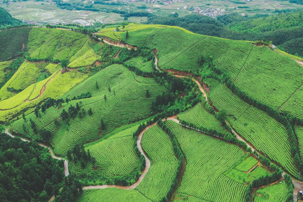 湖南省江华县委书记袁章中：以“五维聚力”推进乡村全面振兴