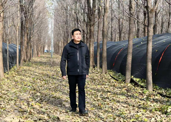 李超：军魂映农桑 兴业暖乡邻