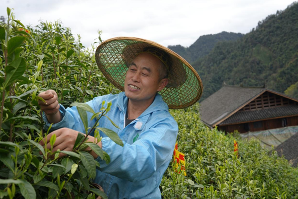 石宏正：从“钢枪”到“茶香” 引领乡村振兴的“黄金实践”