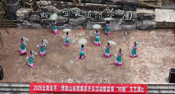 云南永平：谷雨春茶“泡”出新滋味