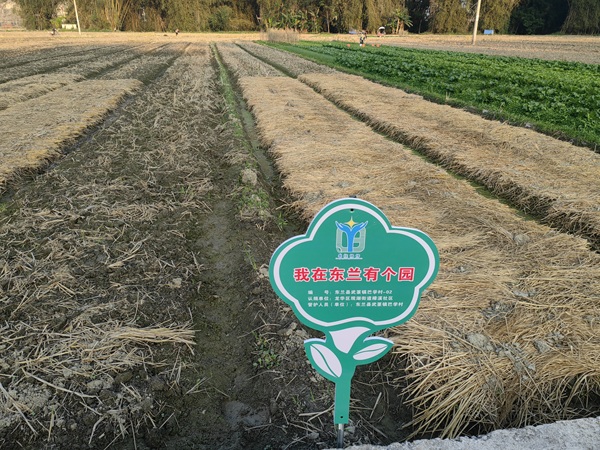 20260428177734836762.jpg 我在广西有个园(观湖街道樟溪社区认捐).jpg