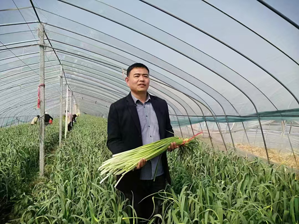 马广法：科技赋能兴产业 助农共富促振兴