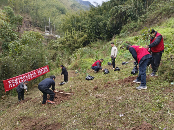 李兆文：青山印证党旗红 实干担当促振兴