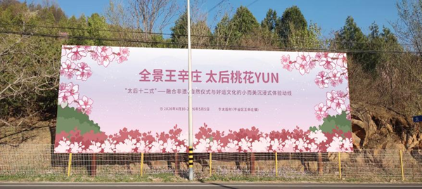 从安静山村到好运地标：小而美·太后心生“桃花Yun”首日火爆，太后村迎来“接好运”热潮