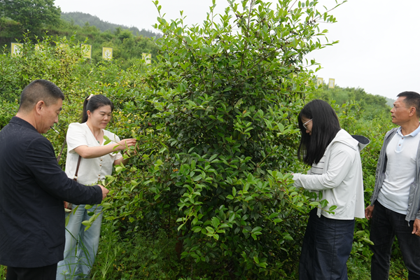 20260525177967491478.png 图片2.png