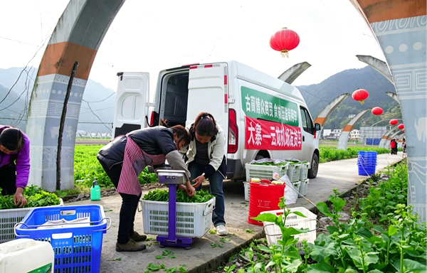 20260525177969923114.png 图片3.png