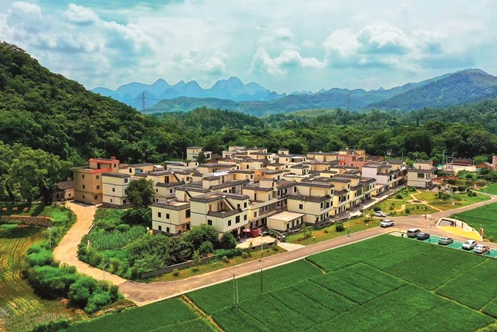 广东清远市：“五大强农”行动 助力农业高质量发展