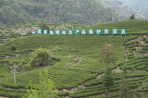 20260605178066969965.png 图片2.png