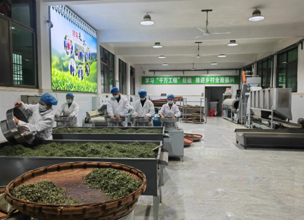 20260605178066973937.png 图片4.png