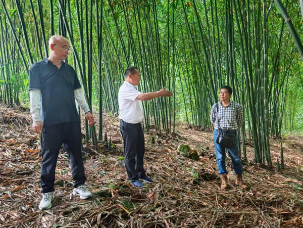 朱长华：良竹生沃土 实干兴万家