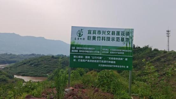 图片11.png