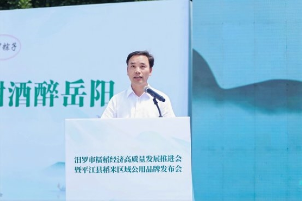 北纬28°黄金产稻带！平江这款山溪米藏着自然好味道