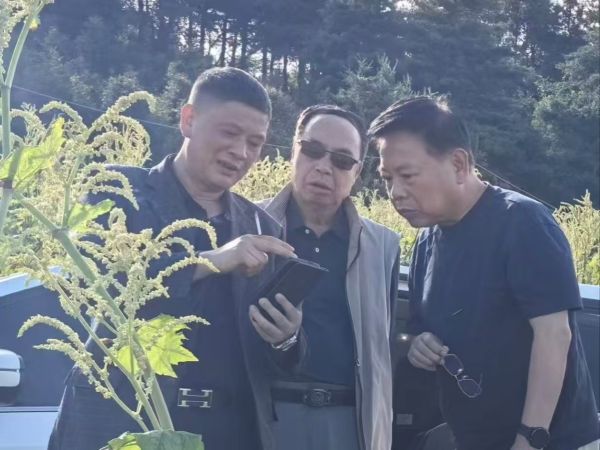 微信图片_20260615171158_528_2688.jpg