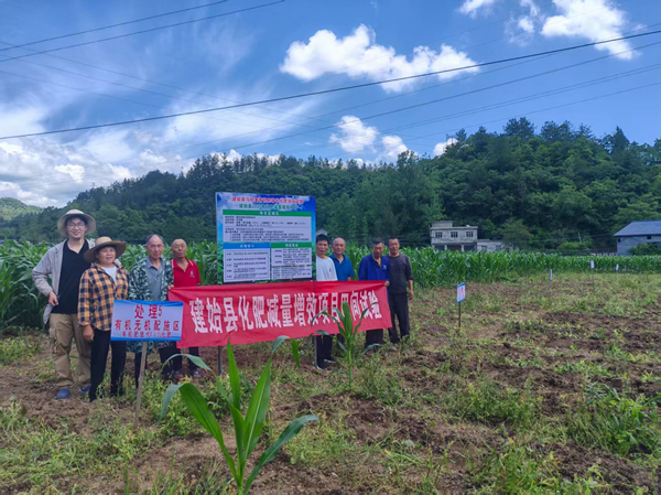湖北建始：马铃薯有机肥替代试验见实效 化肥减量增效赋能产业振兴