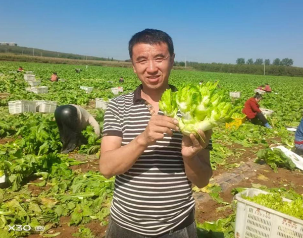 唐铭：深耕乡土三十余载 蔬香漫野共赴振兴
