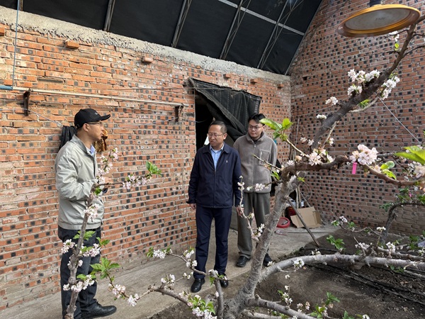 扎根冀东十二载——中国农大滦南果蔬粮科技小院助力乡村振兴纪实