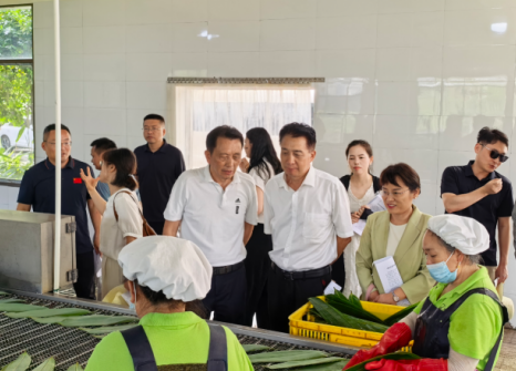20260729178532981985.png 图片3.png
