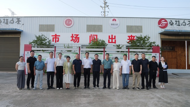 20260729178532983494.png 图片4.png