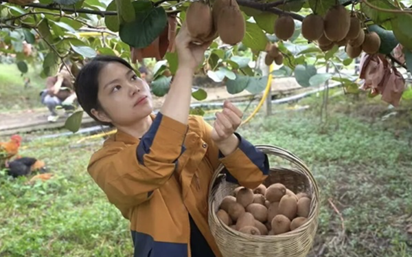 20260804178583294433.png 图片4.png