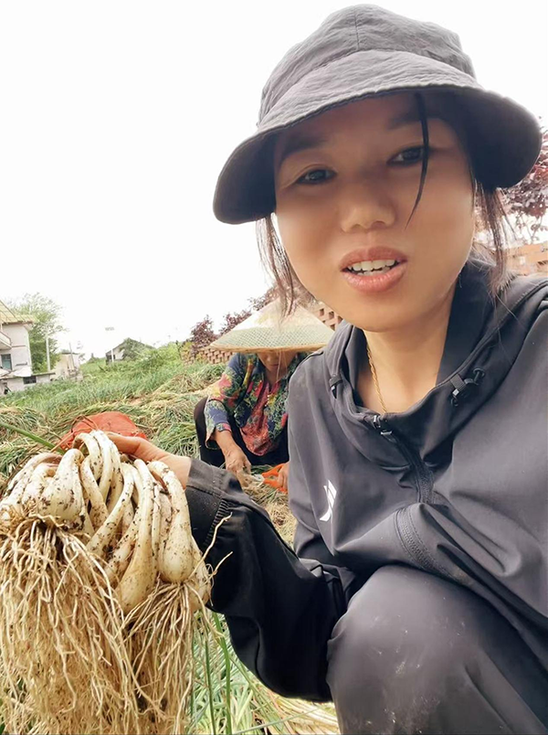 何小英：“藠”傲巾帼——女会计师返乡创业兴村记