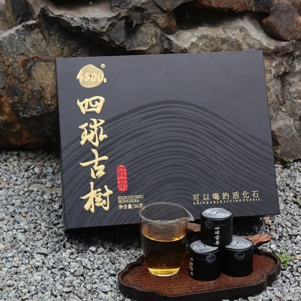 20260820178723795913.png 图片20.png