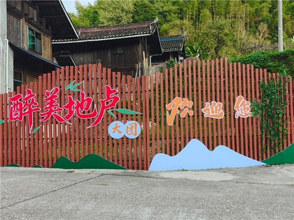 湖南靖州县寨牙乡地卢村：闲置地块“活”起来，醉美大团“靓”出来