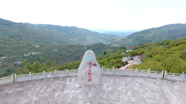 一颗核桃的增值之路：云南永平如何做深富民产业