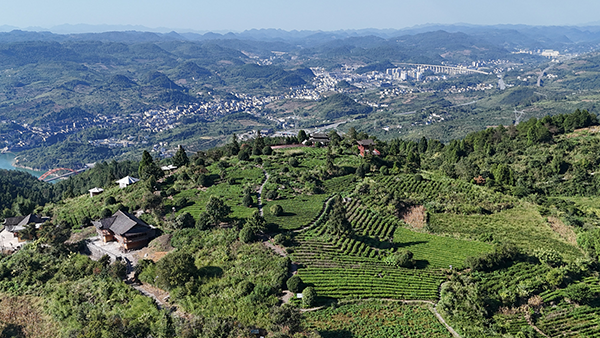 立足资源禀赋 激活内生动力——湖南省古丈县坐龙峡村茶旅民宿助力乡村振兴调查