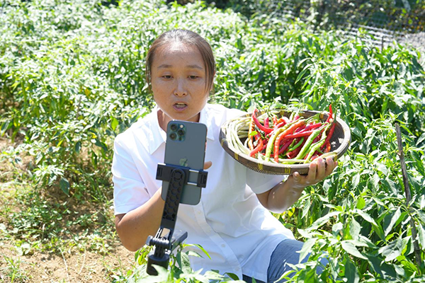 20260909178896279851.png 图片6.png