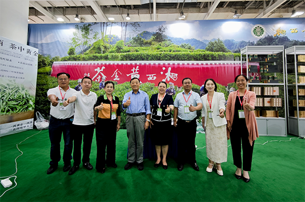 湘西黄金茶组团亮相第十八届湖南茶业博览会 特色促销点燃消费热情