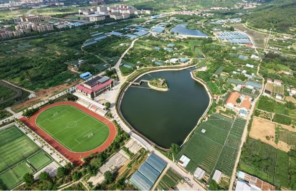 片区化推进乡村振兴的山东实践丨山东省青岛市百果百福乡村振兴片区：连片聚合力 激活乡村文旅新动能