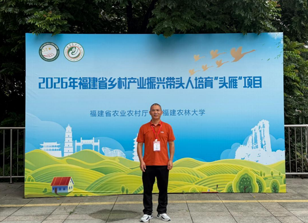 竹浪翻涌处 红绿绘共富——古田建林家庭林场的振兴答卷