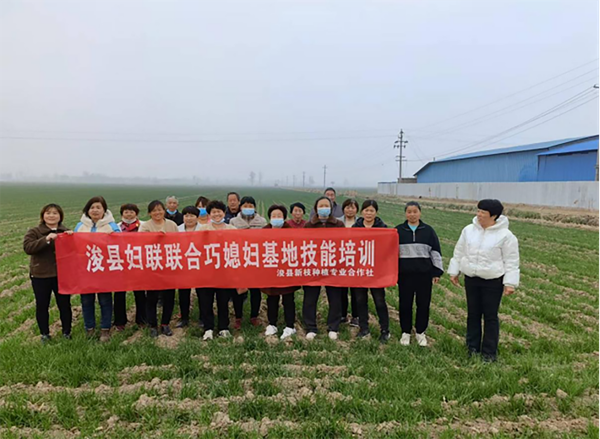 20260928179056303843.png 图片5.png